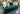 Kelly green Craftmaster sofa