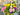 Fresh Flowers