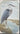 Blue heron canvas